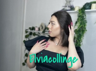 Elviacollinge