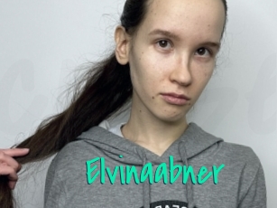 Elvinaabner