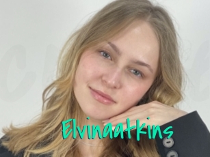 Elvinaatkins