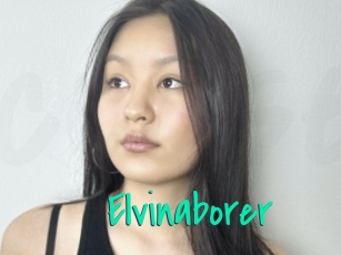 Elvinaborer