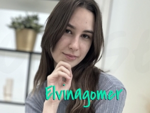 Elvinagomer