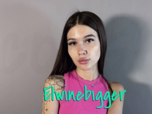 Elwinebigger