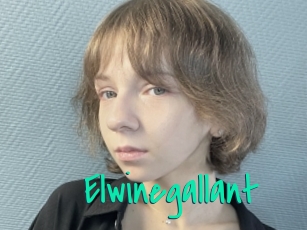 Elwinegallant