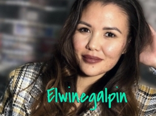Elwinegalpin