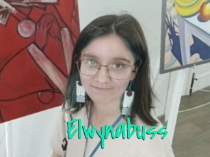 Elwynabuss