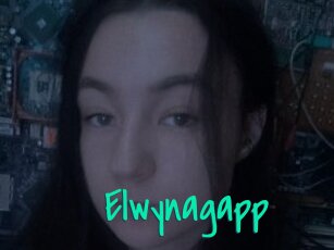 Elwynagapp