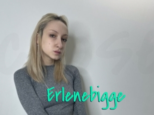 Erlenebigge