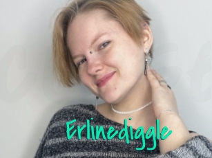 Erlinediggle