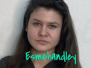Esmehandley