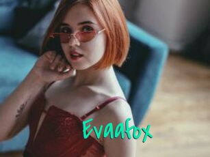 Evaafox