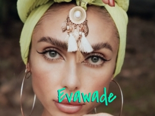 evawade Cool Sexe
