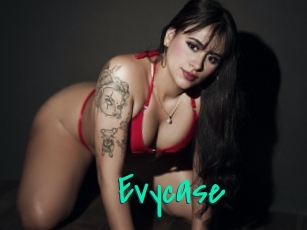 Evycase
