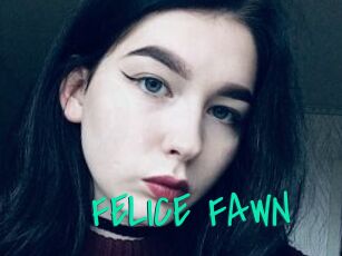 FELICE_FAWN