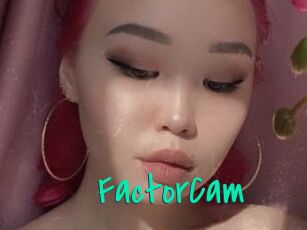 FactorCam