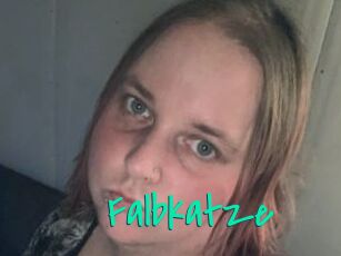 Falbkatze