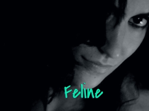 Feline