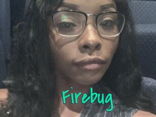 Firebug