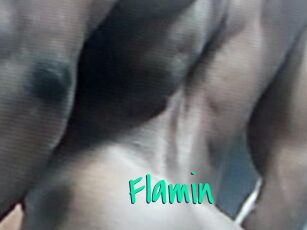 Flamin
