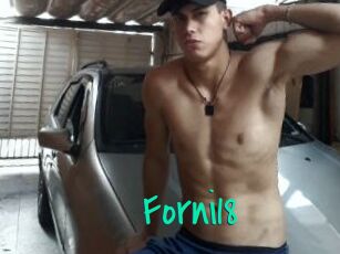 Forni18
