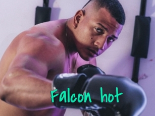 Falcon_hot