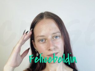 Felicebeldin