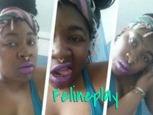 Felineplay
