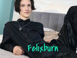 Felixburn