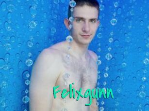 Felixgunn
