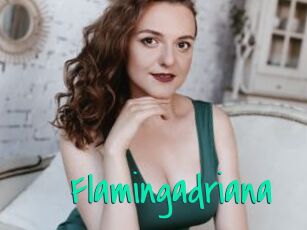 Flamingadriana