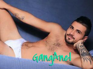 GangAnel