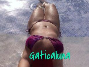 Gaticaluna