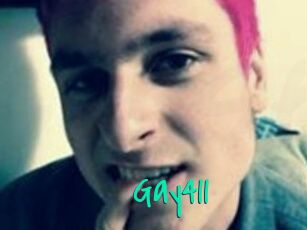 Gay411