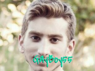 GayBoy55