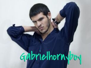 Gabrielhornyboy