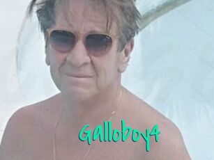 Galloboy4