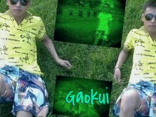 Gaokui