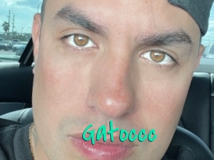 Gatoccc