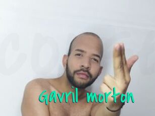 Gavril_morton