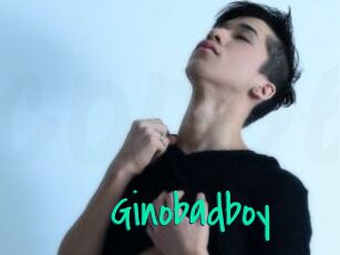 Ginobadboy