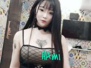 HAmi
