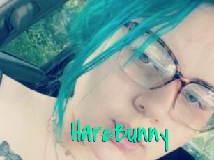 HareBunny