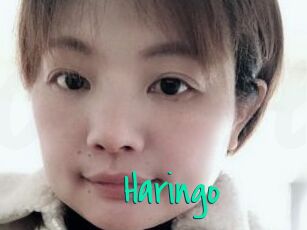 Haringo
