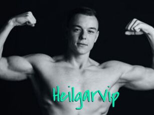 HeilgarVip