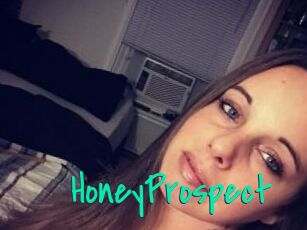 HoneyProspect