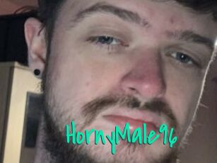 HornyMale96