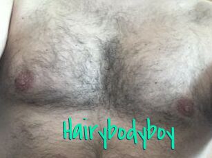 Hairybodyboy