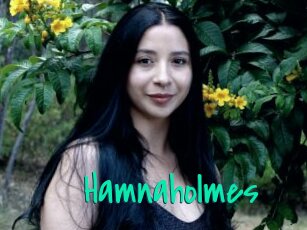 Hamnaholmes