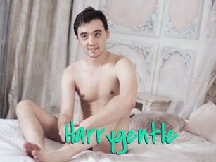 Harrygentle