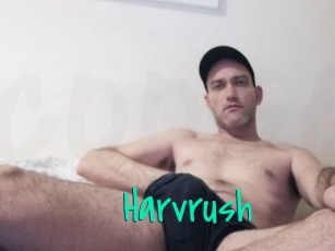 harvrush Cool Sexe