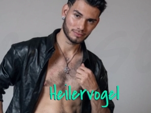 Heilervogel